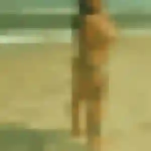 Wahiba, 43 ans, disponible à Saint-Martin-Lacaussade pour une rencontre coquine