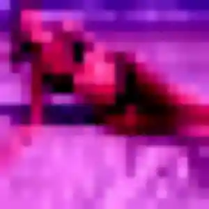 Photo sexy de Typhaine, 43 ans à Saint-Maur-des-Fossés - plan discret