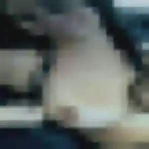 Photo perso de Idalina, 35 ans à Saint-Maurice-de-Rémens - rencontre coquine