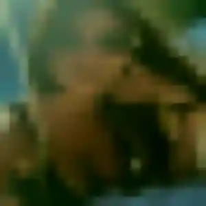 Tamara, 35 ans, dispo pour plan cul à Saint-Médard-en-Jalles