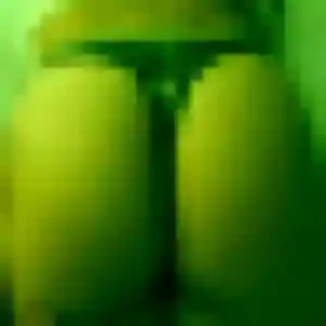 Photo de Quitterie à Saint-Pierre-du-Val (24 ans) - plan cul gratuit
