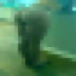 Graziella, 32 ans, dispo pour plan cul à Saint-Puy