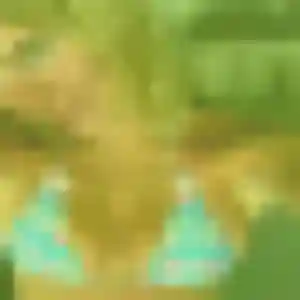 Charmante Veronique, 44 ans à Saint-Quay-Perros - la contacter