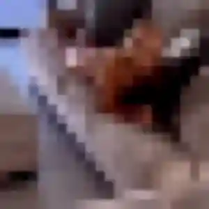 Anastasia, 41 ans, dispo pour plan cul à Saint-Roch