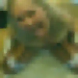 Charmante Coralie, 31 ans à Saint-Sauveur - voir sa photo
