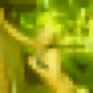 Photo de Elena à Saint-Sauveur-en-Rue (34 ans) - plan cul anonyme