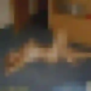 plan cul à Saint-Savin : profil de Malika, 26 ans - inscription gratuite