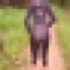 Vera, femme de 35 ans cherche plan cul à Saint-Sornin-Lavolps
