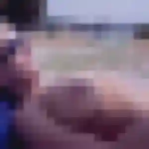 Apolline, fille de 33 ans cherche plan cul à Saint-Sulpice-le-Guérétois