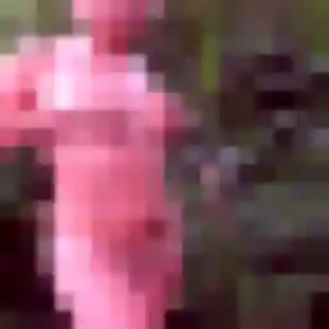 Angelique, 37 ans, connectée à Saint-Urbain pour une rencontre coquine