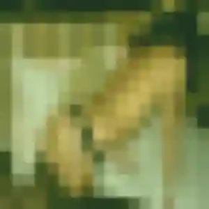 Virginie (32 ans) à Saint-Victor-de-Malcap cherche un plan cul ce soir