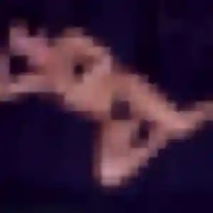 Pierrette, 42 ans, connectée à Saint-Victor-de-Morestel pour une rencontre coquine