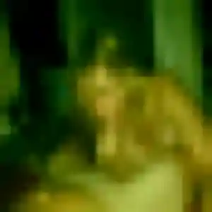 Clara de Saint-Vincent-sur-Jard, 34 ans - plan cul sans lendemain
