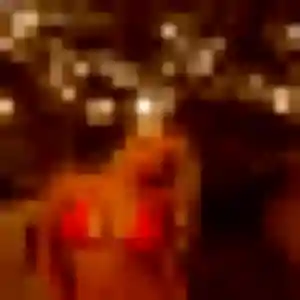 Photo privée de Anouk, 28 ans à Saint-Vivien - plan discret