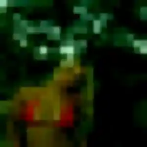 Eliane, 41 ans, connectée à Saint-Vougay pour une rencontre coquine