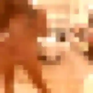 Eva, 24 ans, dispo pour plan cul à Sainte-Croix-sur-Buchy