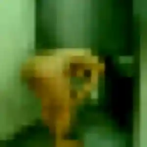 Lola, 29 ans, dispo pour plan cul à Sainte-Gemme