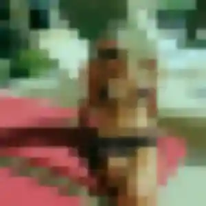 Janine, 32 ans, connectée à Sainte-Hermine pour une rencontre coquine