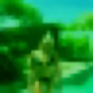 Profil de Sylviane à Sainte-Marie (45 ans) - plan cul anonyme