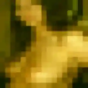 Photo privée de Melodie, 27 ans à Sainte-Maure - rencontre sans lendemain