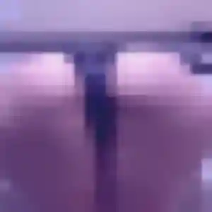 Rencontre Lisette, 36 ans à Sainte-Radégonde-des-Noyers en t'inscrivant