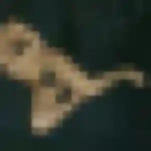 Nathalie (38 ans) à Salans cherche un plan cul ce soir