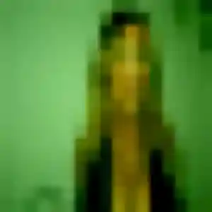 Photo privée de Djamila, 43 ans à Salavas - rencontre coquine