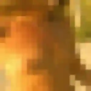 Anne-Charlotte, fille de 35 ans cherche plan cul à Sallertaine
