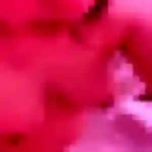 Photo privée de Karen, 33 ans à Salles-sur-Mer - rencontre sans lendemain
