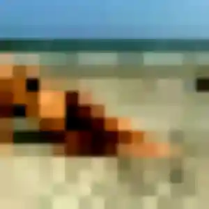 plan cul à Sand : photo de Jeanne, 40 ans - sans engagement