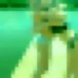 Contacte Nolwenn, 36 ans à Sarrians en privé