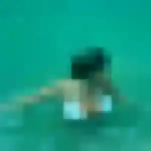 Delphine, 43 ans, dispo pour plan cul à Saubusse