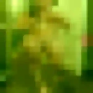 Violette (43 ans) à Saugnac-et-Muret cherche une rencontre ce soir