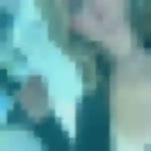 Sexy Djamila, 36 ans à Sautron - découvrir son profil
