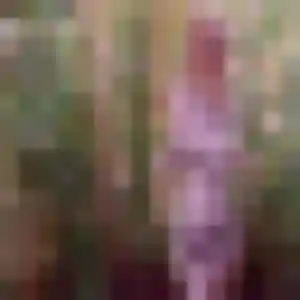 Jade (41 ans) à Savigny-sur-Braye cherche une rencontre aujourd'hui