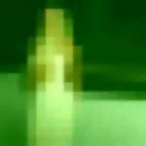 Photo perso de Zephyrine, 43 ans à Schaeffersheim - rencontre sans lendemain