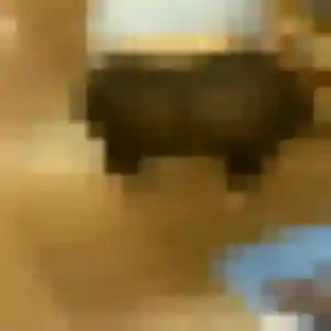 Capucine, 31 ans, dispo pour plan cul à Serley