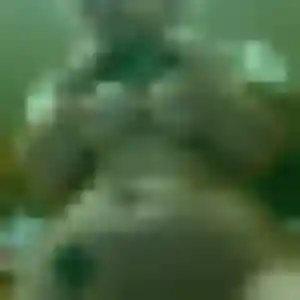 Phoebe (41 ans) à Sigogne cherche une rencontre ce soir
