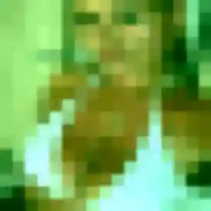 Photo exclusive de Francine, 32 ans à Sillans-la-Cascade - rencontre coquine