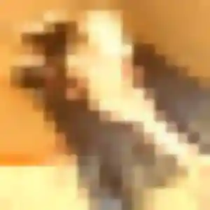 Contacte Marion, 37 ans à Sillans en t'inscrivant