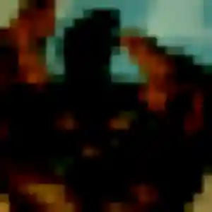plan cul à Soleymieu : profil de Zelda, 28 ans - inscription gratuite