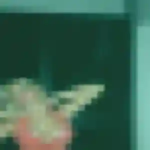 Jolie Barbara, 43 ans à Sommepy-Tahure - voir sa photo