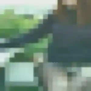 Rencontre Capucine, 42 ans à Sonnay en privé