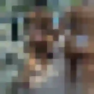 Photo privée de Claire, 34 ans à Soultz-les-Bains - plan discret