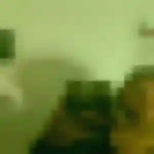 Rencontre Dounia, 33 ans à Targon en privé