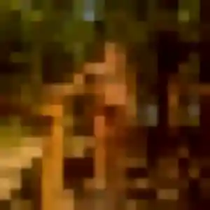 Photo de Sofia à Tercé (39 ans) - plan cul gratuit