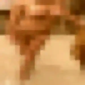 Emilie, femme de 42 ans veut plan cul à Terre-de-Haut