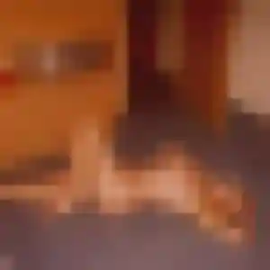 Gilberte, 39 ans, dispo pour plan cul à Terval