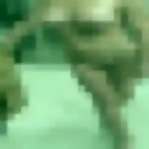 Isaure, 23 ans, en ligne à Téthieu pour une rencontre coquine