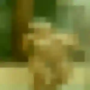 Alienor, 45 ans, disponible à Thuir pour une rencontre coquine